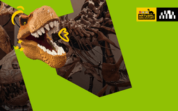 LEGO® SHOWS Natural Brickstory